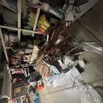 Junk removal