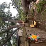 Storm damage