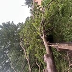 Storm damage
