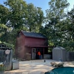 Tree Removal