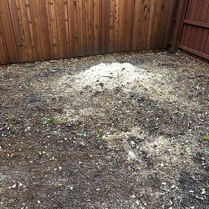 Tree & stump Removal