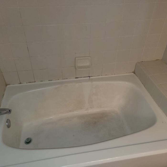 Tub and Surround