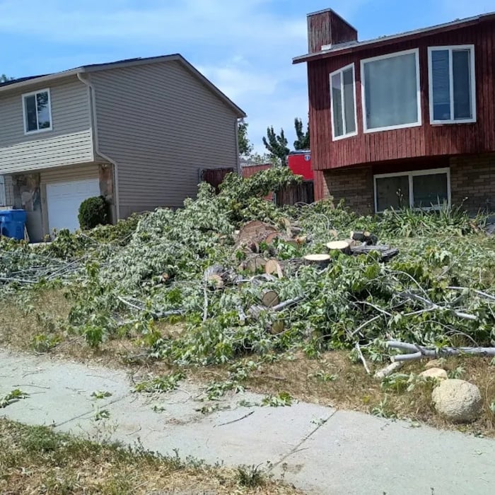 Green Waste - Before