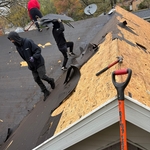Roof - Minnetonka