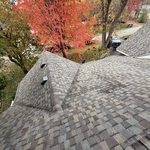 Roof - Minnetonka