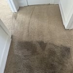 Multi-Room Cleaning