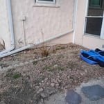 Backyard Before