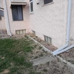 Backyard Before