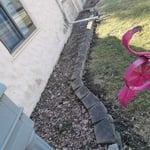 Front Yard Before