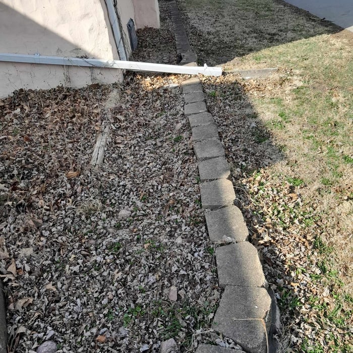Backyard Before