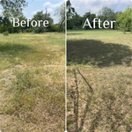 2 Acre Lot
