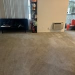 Carpet Cleaning
