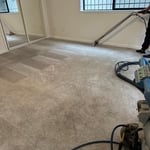 Carpet Cleaning