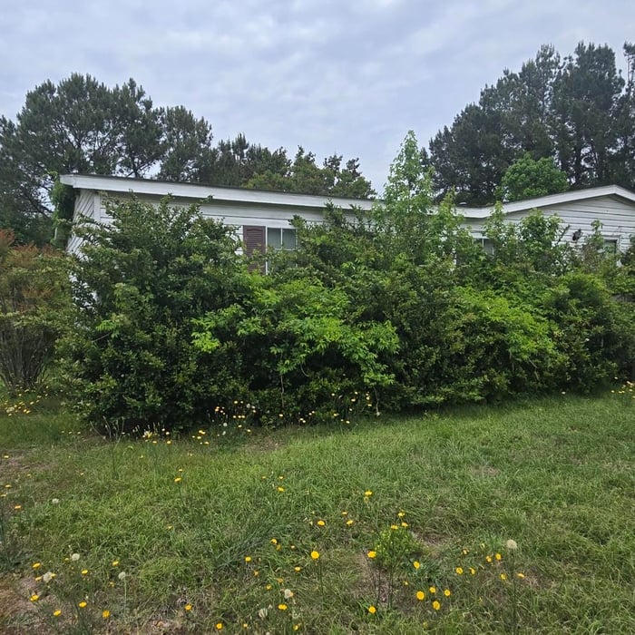 Lawn and shrub trim