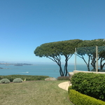 View Pruning - Tiburon CA