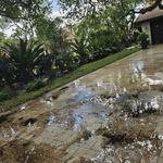 Pressure washer