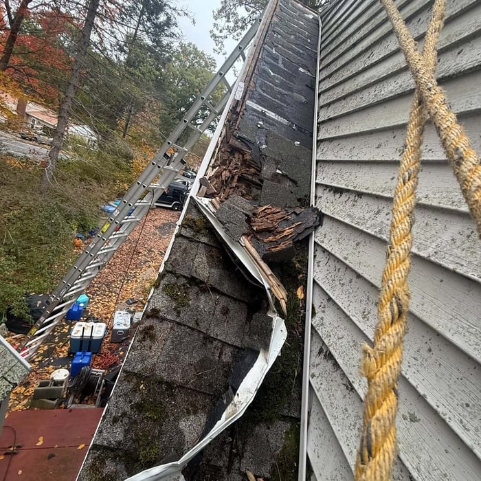 Rotten plywood