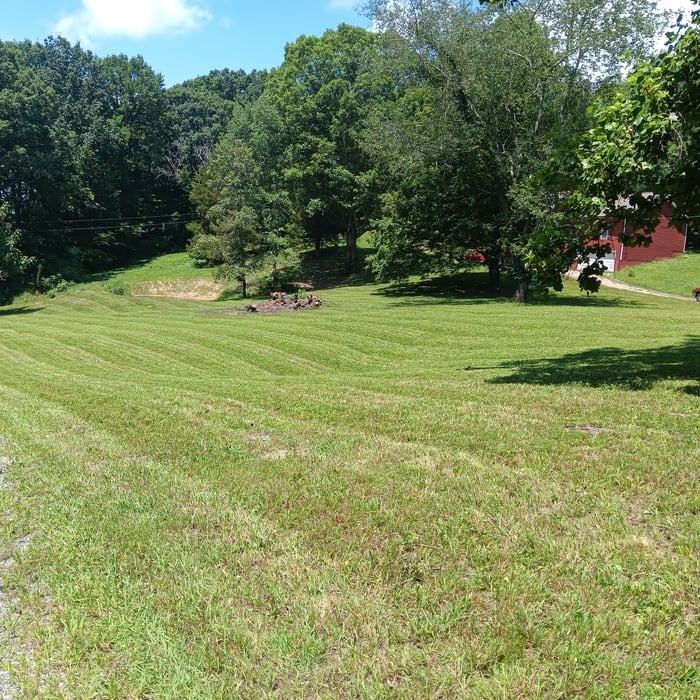 Yards