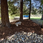 Wood chips