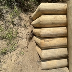 Timber Retaining Wall