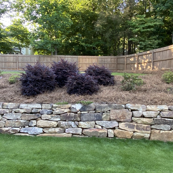 Pine Straw Install