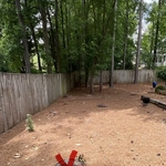 Large Tree Removal