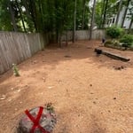Large Tree Removal