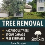 Tree removal