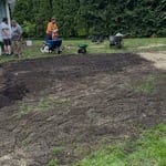 Tree removal