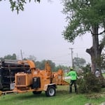 Chipping Tree Limbs