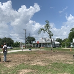 After Tree Removal