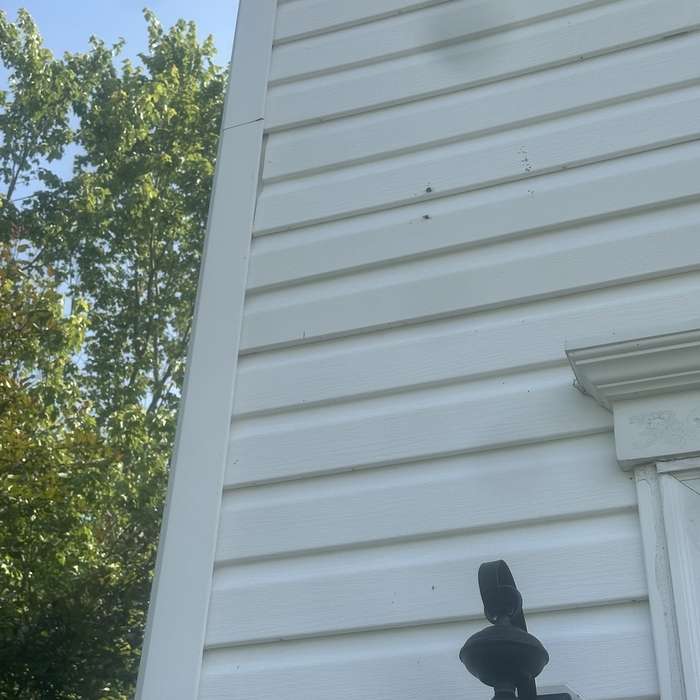 SIDING REPAIR
