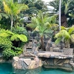 Backyard Oasis