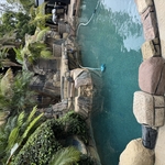 Backyard Oasis