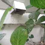 Dryer Vent