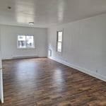 Flooring and Paint