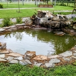 Small simple pond design