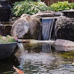 Pond Design 2