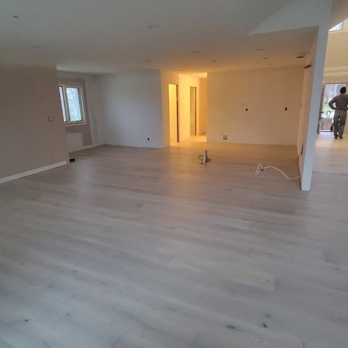 Entire main floor.