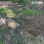 Before and After