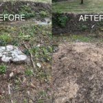 Before and After