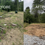 Before and After
