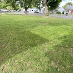 Kennewick WA