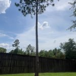 Projects we’ve done!