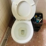 Bathroom cleaning