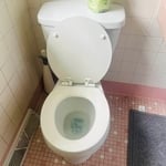 Bathroom cleaning