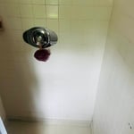 Bathroom cleaning
