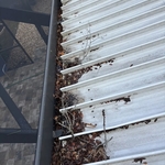 Gutter Cleaning