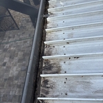 Gutter Cleaning