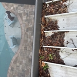 Gutter Cleaning